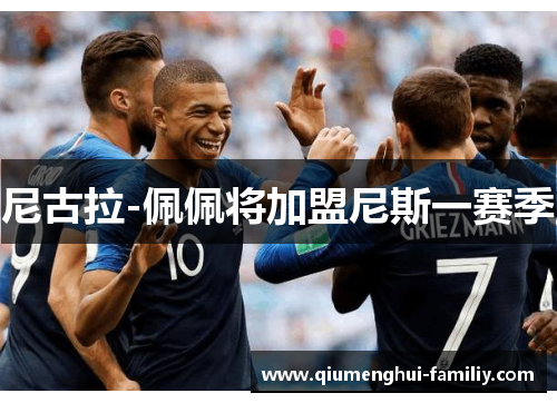 尼古拉-佩佩将加盟尼斯一赛季 尼古拉-佩佩将加盟尼斯一赛季