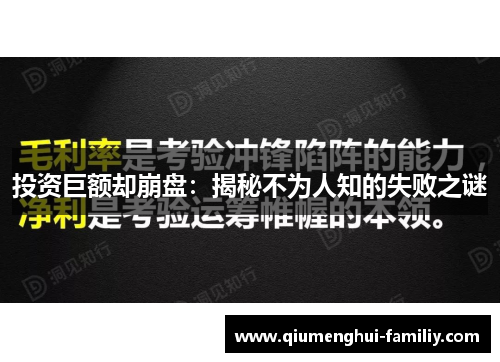 投资巨额却崩盘：揭秘不为人知的失败之谜
